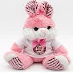 TeddyBearLoveBrownie