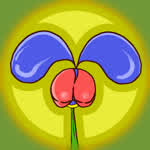 Fleurdeminien