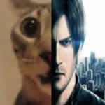 punycat