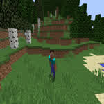 playertorson2