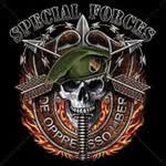 VeteranRepublican