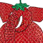 StrawberryElephant