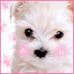 disneychannelrules
