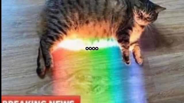 funniest lgbt debate ever funniest lgbt debate ever