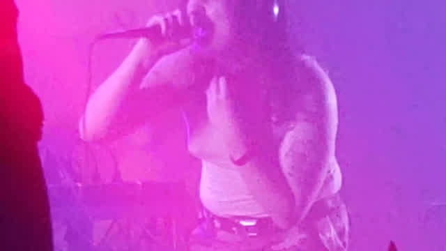 Mailpup and his Nasty Bitchtits