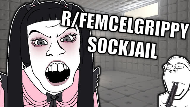 The Femcel Subreddit - r/femcelgrippysockjail