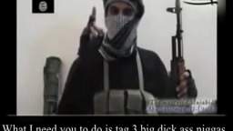 yo yo yo its hump day