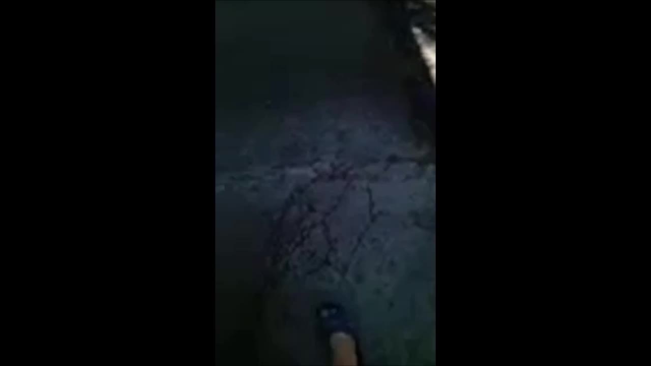 1000068656.mp4