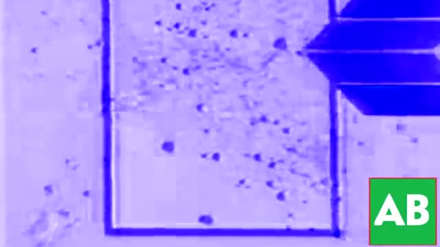 Hellas_Kosmos_Video_Chorded