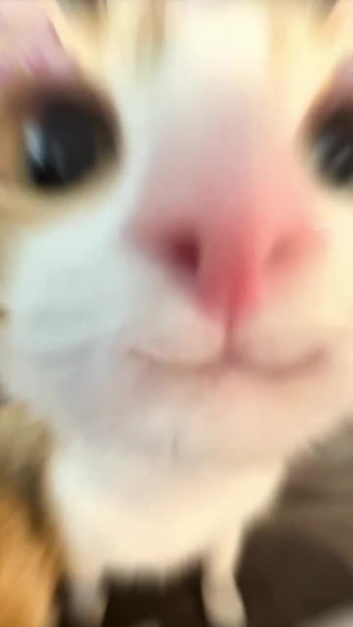 Mein Gesicht wenn der VidLii Administrator mein Hintergrundbild entfernt.