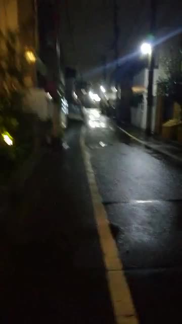 they be trippin in japan #minis