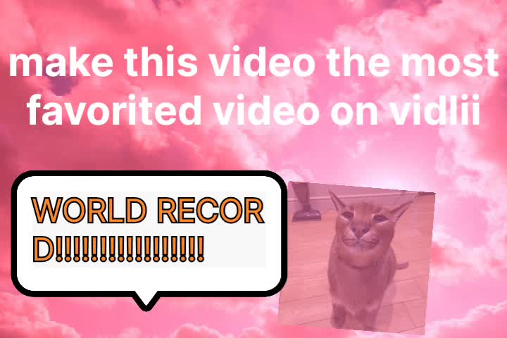 Make this the most favorited video on vidlii (world record)