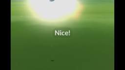 Pokémon GO-Shiny Mareep Pokémon GO-Shiny Mareep