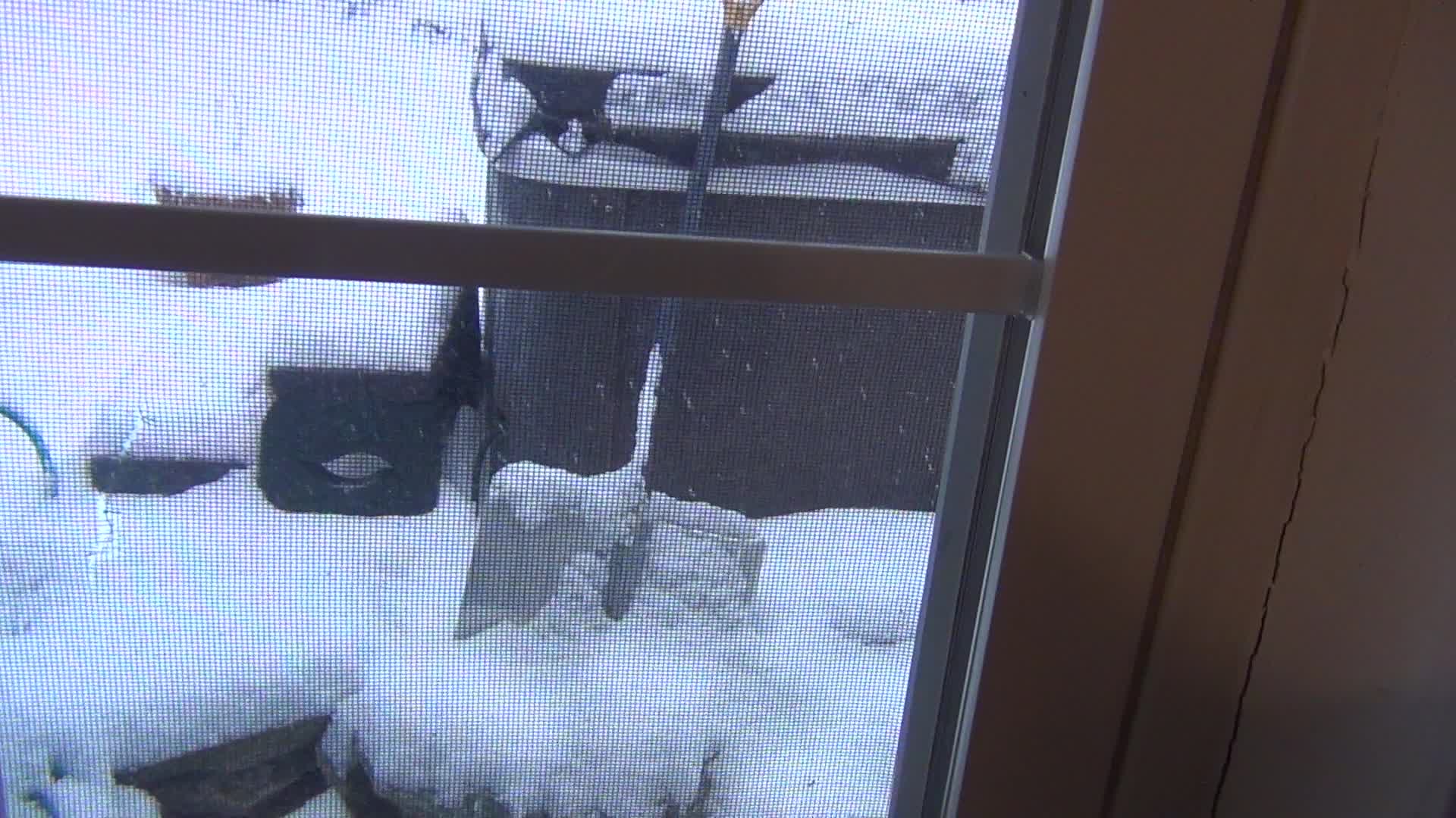 First Real Snowfall Of 2026