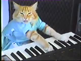 Keyboard Cat! - THE ORIGINAL!
