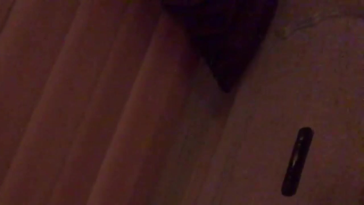 my pickle vid 3 my pickle vid 3