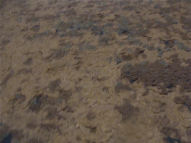 Godzillasaurus Vs. Stegosaurus