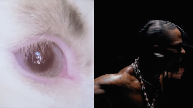 Joji - Die for You/Travis Scott ft. Playboi Carti - FEIN (with PERFECT transition) Joji - Die for You/Travis Scott ft. Playboi Carti - FEIN (with PERFECT transition)