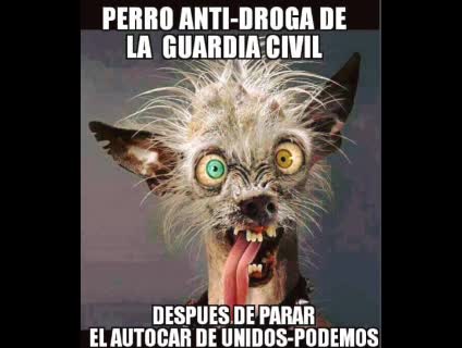 Anecdotas de downs (Devox Posting)