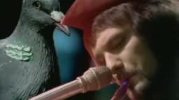 Lieutenant Pigeon-Mouldy Old Dough