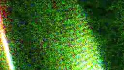 barbara wright fast and slow