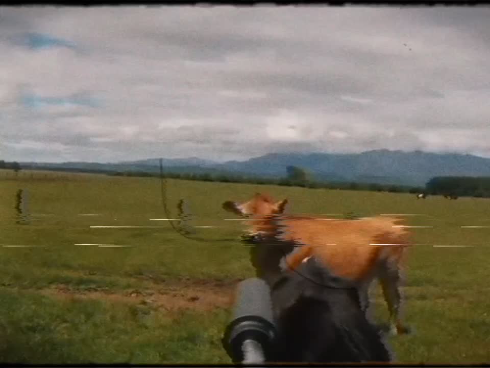 MC WAHALAN: Semen In The Way (OFFICIAL VIDEO)