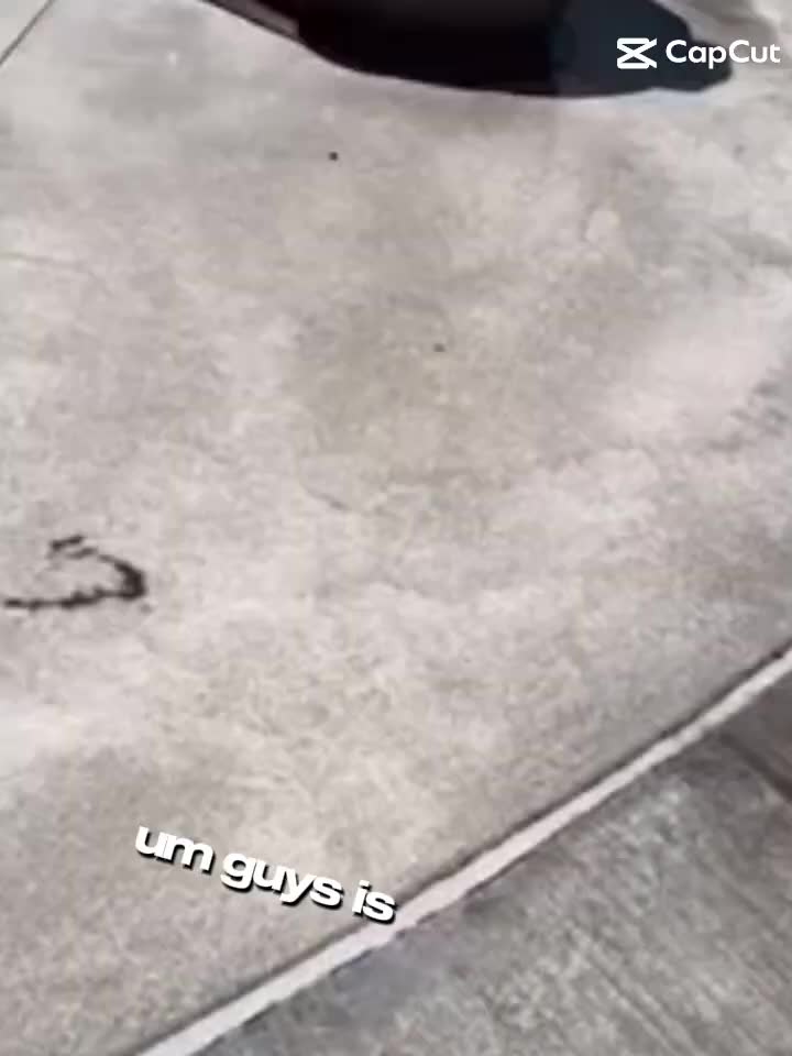 is this Freddy fazbear_ #subscribe #trending #viral #funny #fyp #fivenightsatfreddys