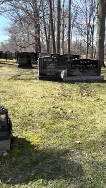Corey Haim’s Grave, Ontario, Canada - Bearded Bandit (360p, h264) Corey Haim’s Grave, Ontario, Canada - Bearded Bandit (360p, h264)