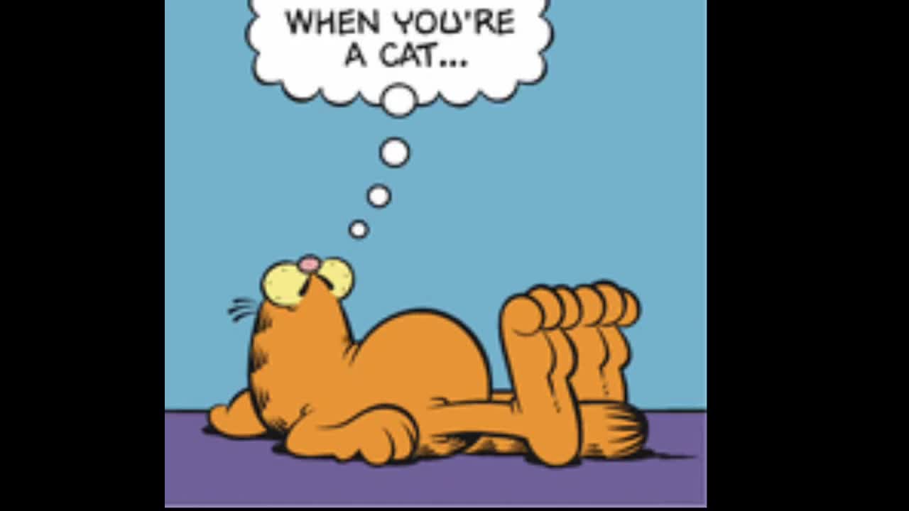 2025_05_12 Garfield Comic Dub