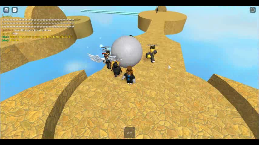 robloxapp-20250811-1016418
