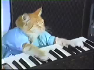 Keyboard Cat! - THE ORIGINAL!