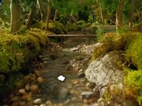 Thomas Y Sus Amigos - Por Siempre Felices temporada 5 episodio 19 Thomas Y Sus Amigos - Por Siempre Felices temporada 5 episodio 19