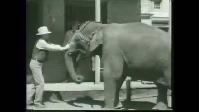 Weird Al Yankovic, Bill Clinton - Bimbo No.5 Weird Al Yankovic, Bill Clinton - Bimbo No.5