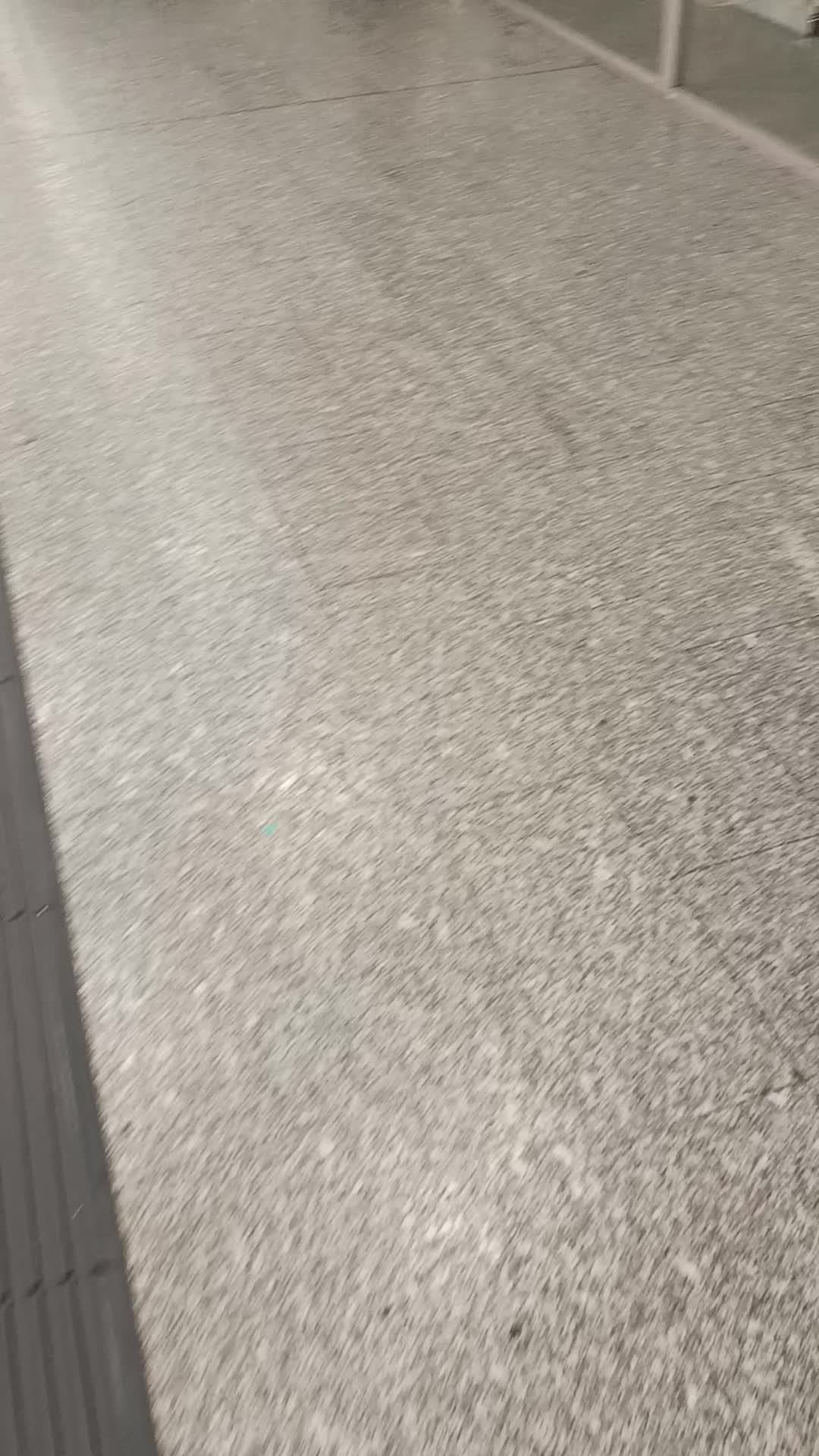 Brussels is a 3rd world pisslamist nigger shithole
