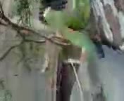 Roberto vs Lorenzo Full HD AMV