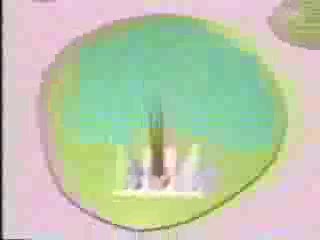 Fuji TV Junction (somewhere in 1997)