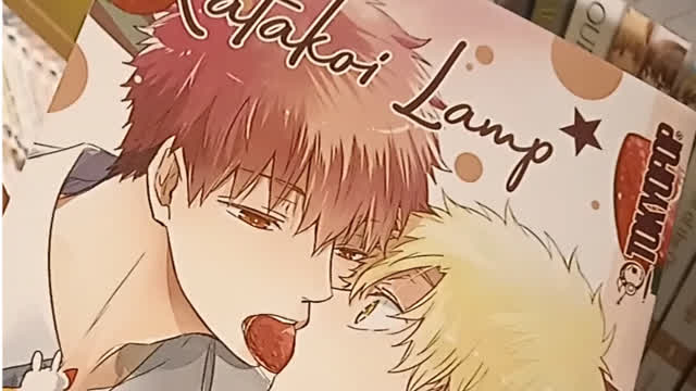 are these yaoi books?