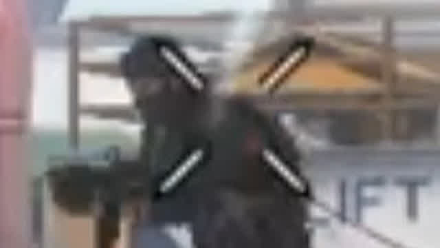 *bonk*