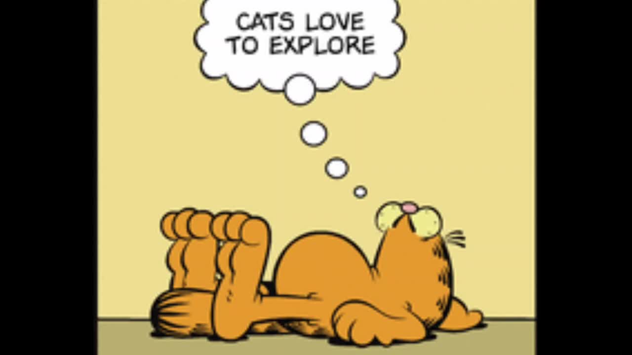 2026_06_22 Garfield Comic Dub