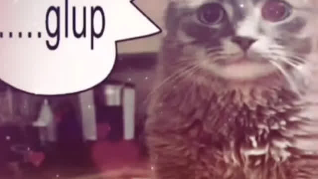 MADE SOME BULLSHIT MADE SOME BULLSHIT