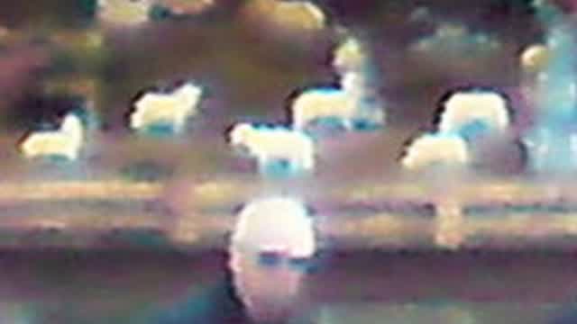 Shitting myself for chips