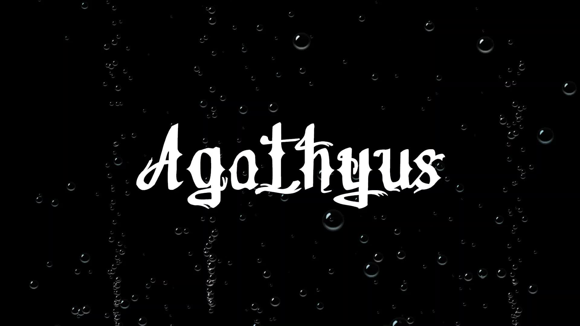 Agathyus ¦ Cipőzsinór (dalszöveges audió)