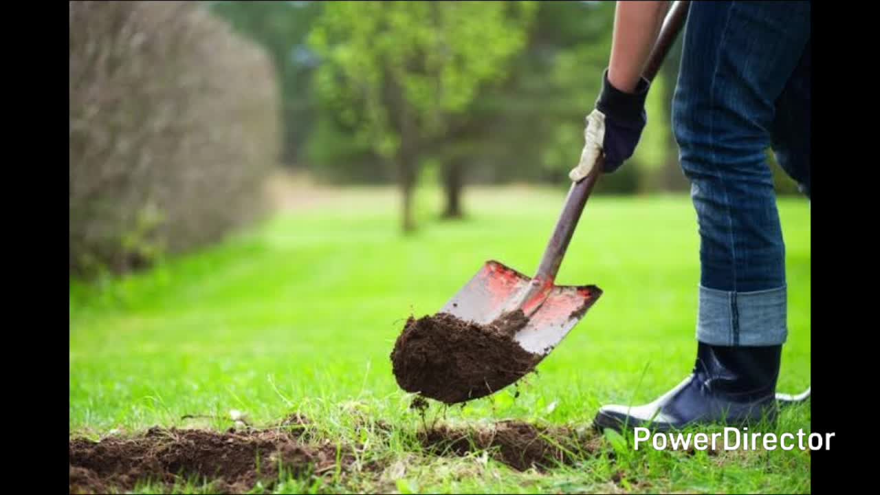 Critica destructiva a los therians