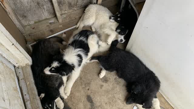 Last Video Of Them Together