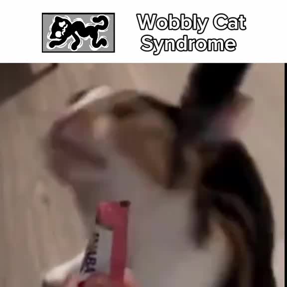Different types of cat variations (Medical) Different types of cat variations (Medical)