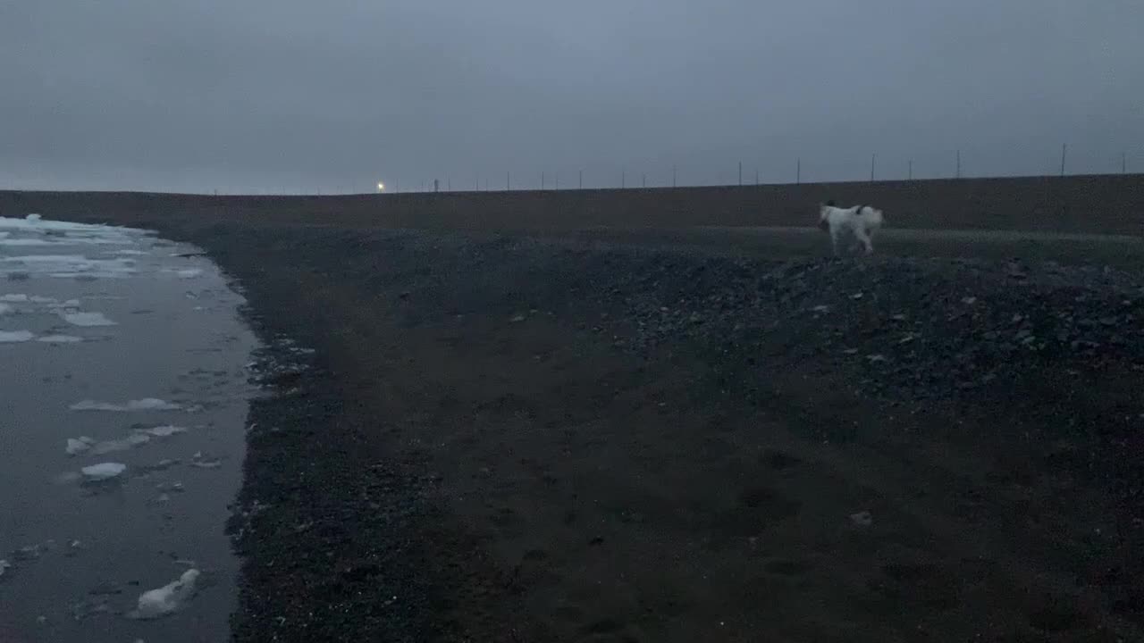Checking Out The Beach At Midnight