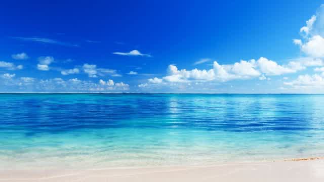 Kaikobad - Freshwater Kaikobad - Freshwater