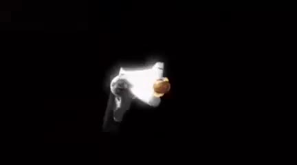 Ronniecrazyshotgun's oficial intro