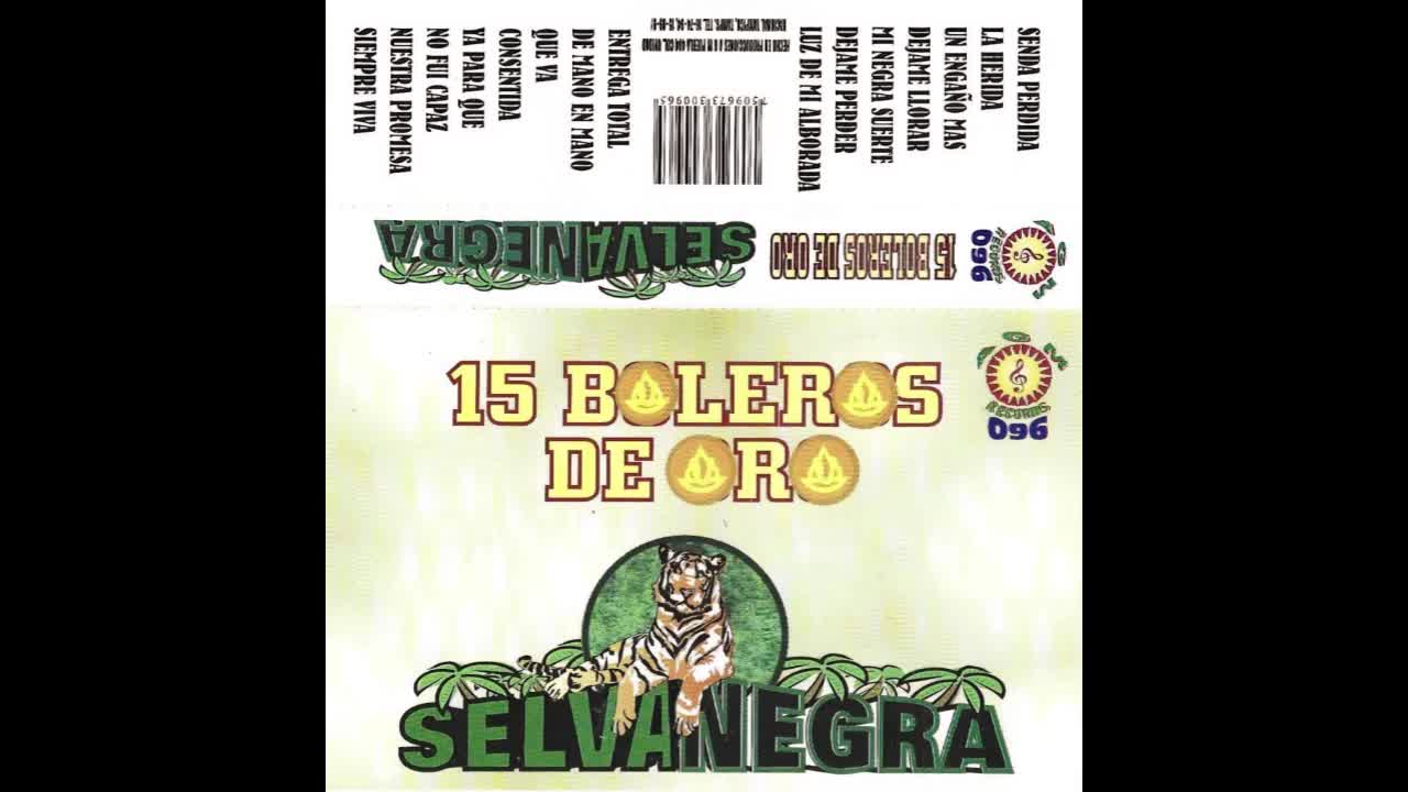 SELVA NEGRA CONSENTIDA