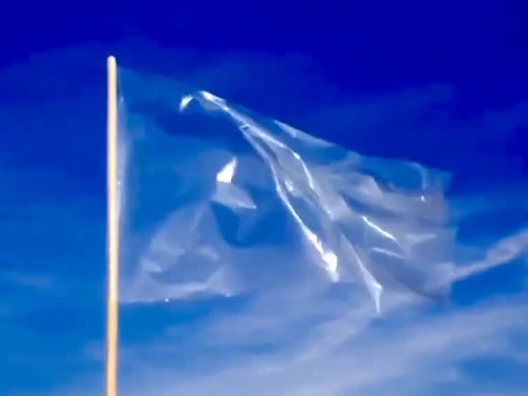 flag
